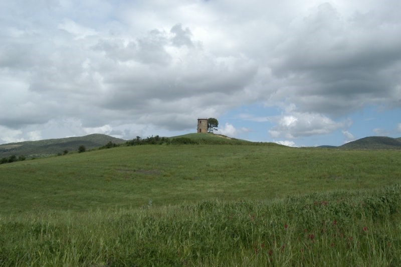 BIBBONA CAMPAGNA